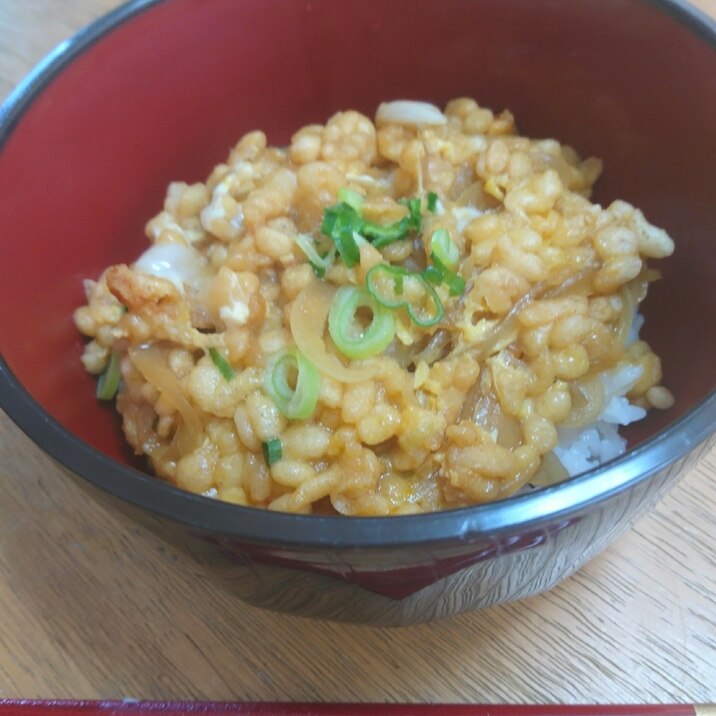 簡単！節約！天かす丼（´ 3｀)